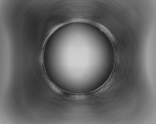 X0000116601244200912181140
