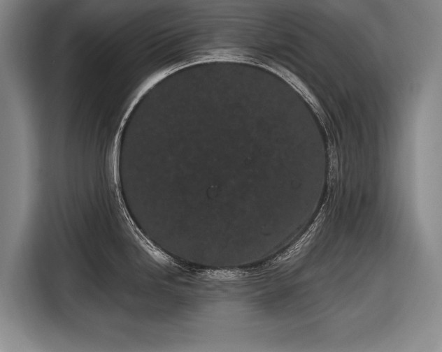 X0000116601246200912181140