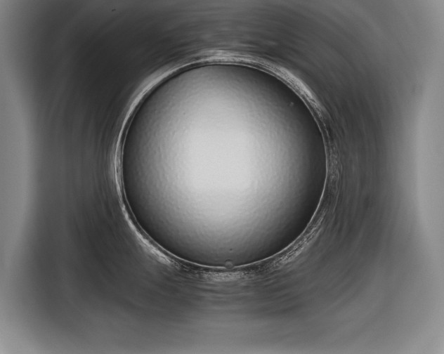 X0000116601247200912181140