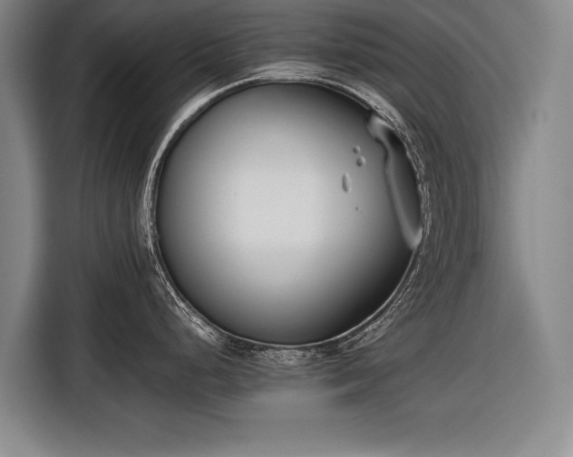 X0000116601248200912181140