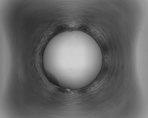 X0000116601249200912181139