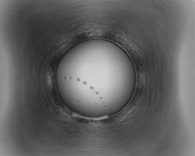 X0000116601250200912181139