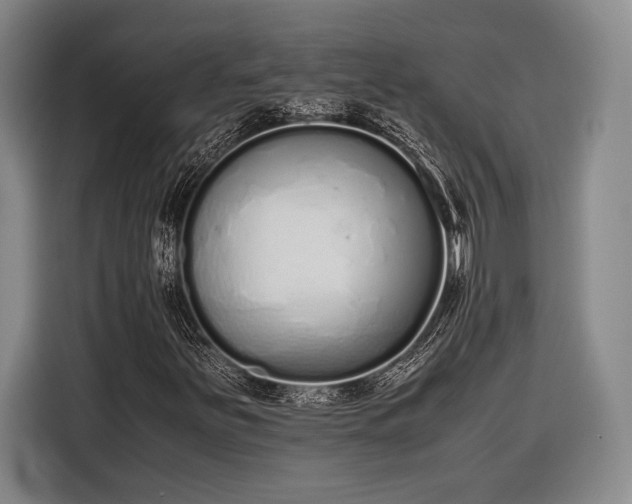 X0000116601251200912181139