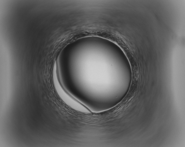 X0000116601253200912181139
