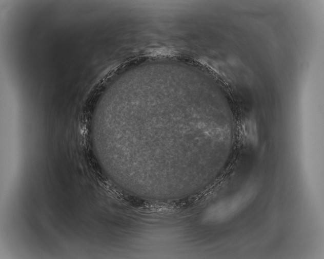 X0000116601254200912181139