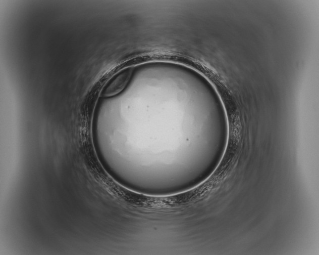 X0000116601255200912181139