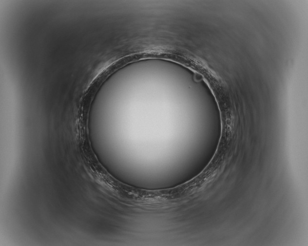 X0000116601256200912181139