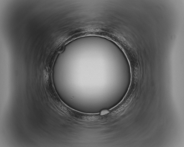 X0000116601257200912181139