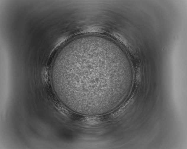 X0000116601258200912181139