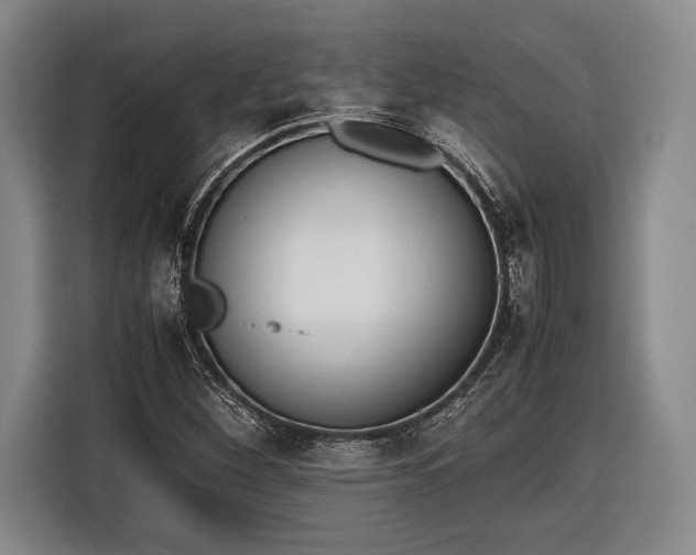 X0000116601260200912181139