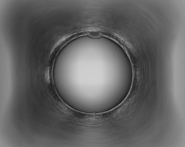 X0000116601262200912181139