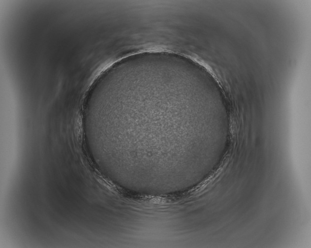 X0000116601263200912181139