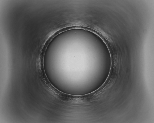 X0000116601264200912181139