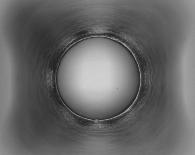 X0000116601265200912181139