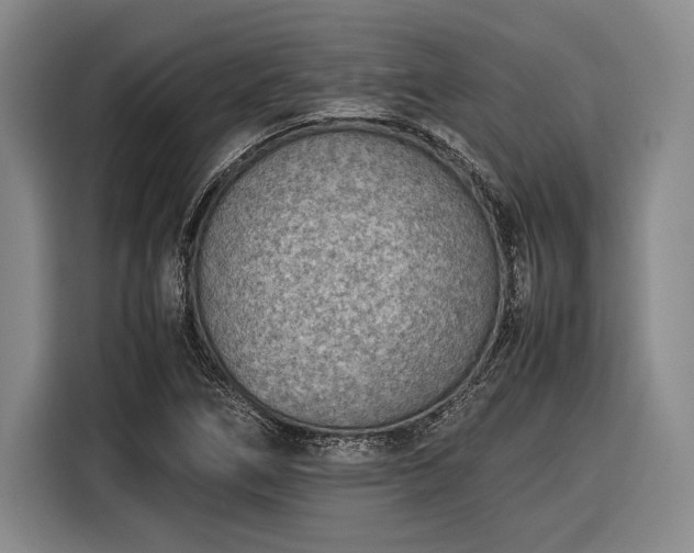 X0000116601266200912181139