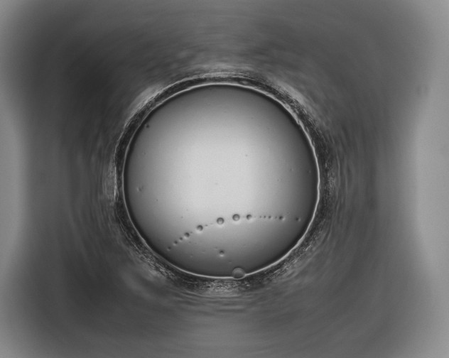 X0000116601267200912181139