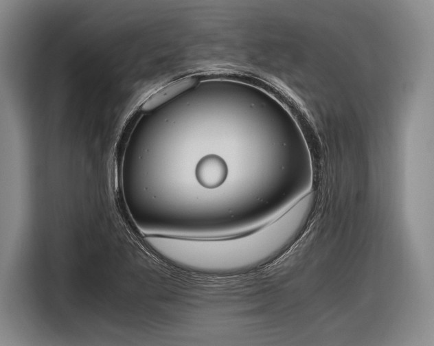 X0000116601269200912181139