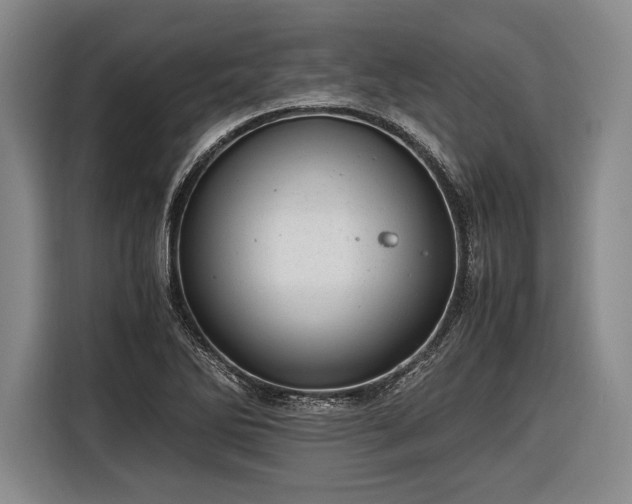 X0000116601270200912181139
