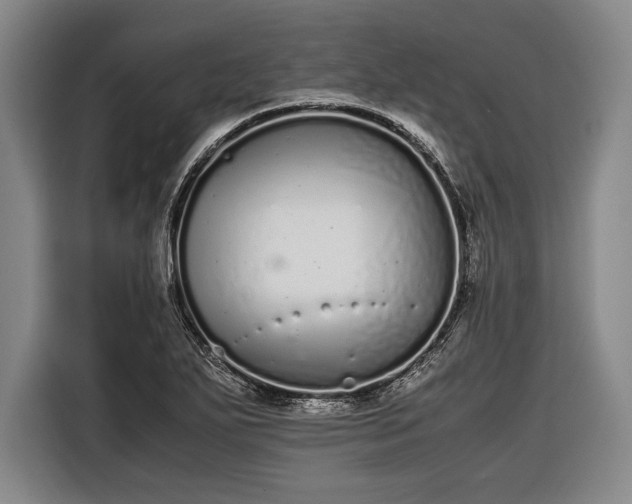 X0000116601271200912181139