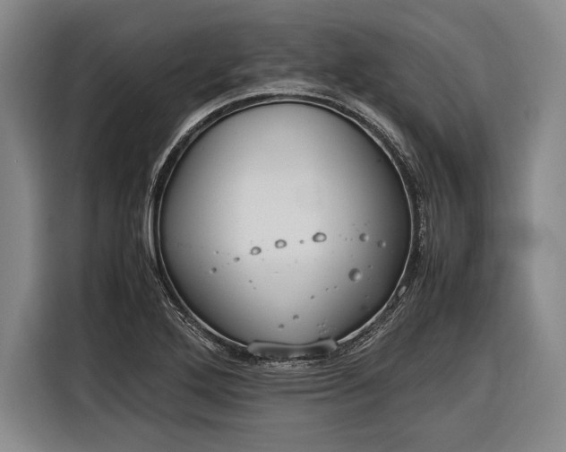 X0000116601272200912181139