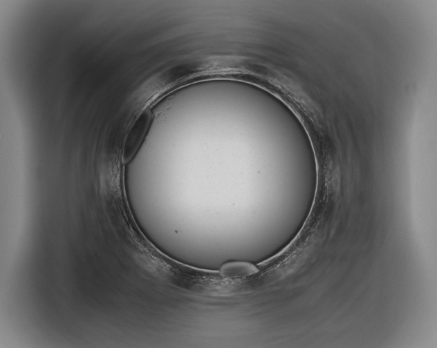X0000116601273200912181139