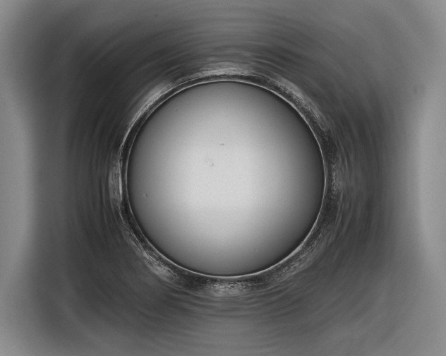 X0000116601274200912181139