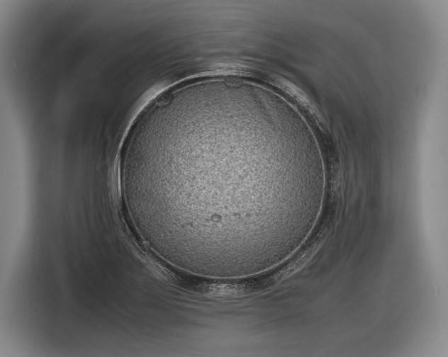 X0000116601275200912181139