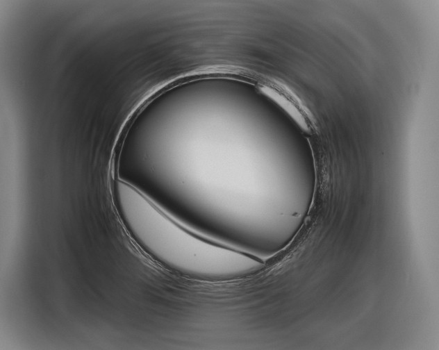 X0000116601276200912181139
