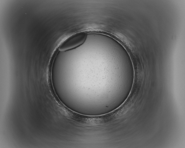 X0000116601277200912181139