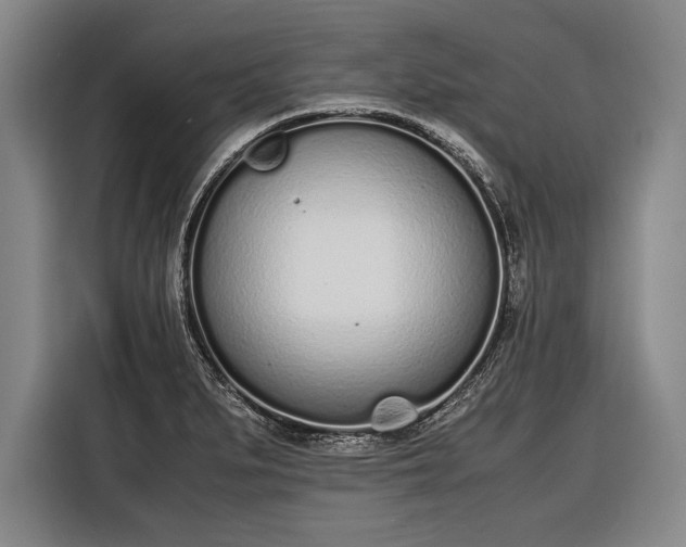 X0000116601279200912181139