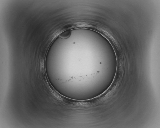 X0000116601281200912181139