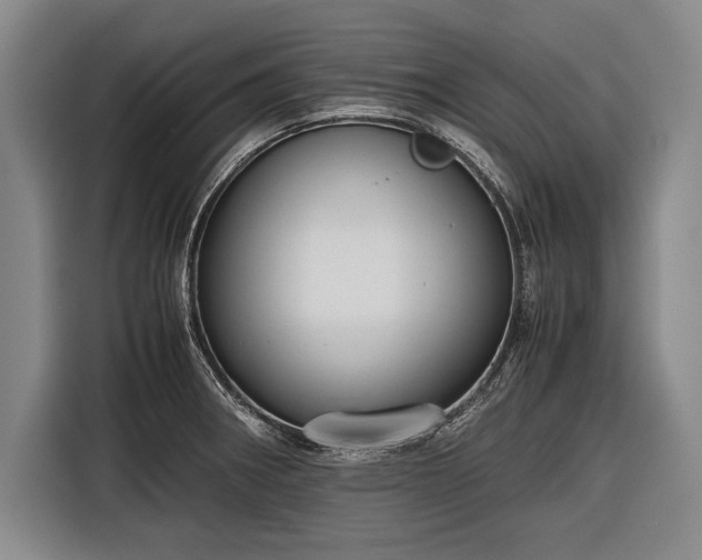 X0000116601282200912181139