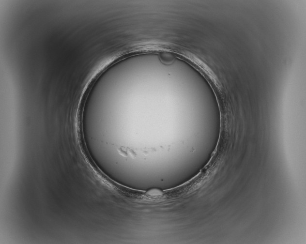 X0000116601285200912181139