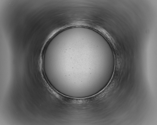 X0000116601286200912181139