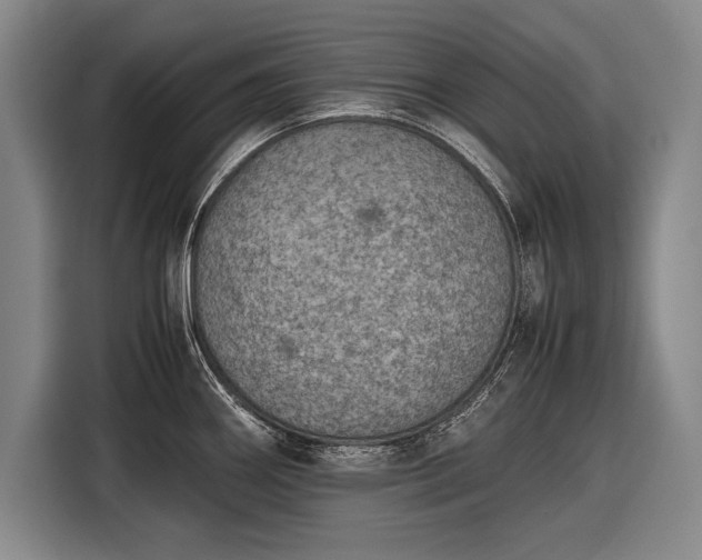 X0000116601290200912181138