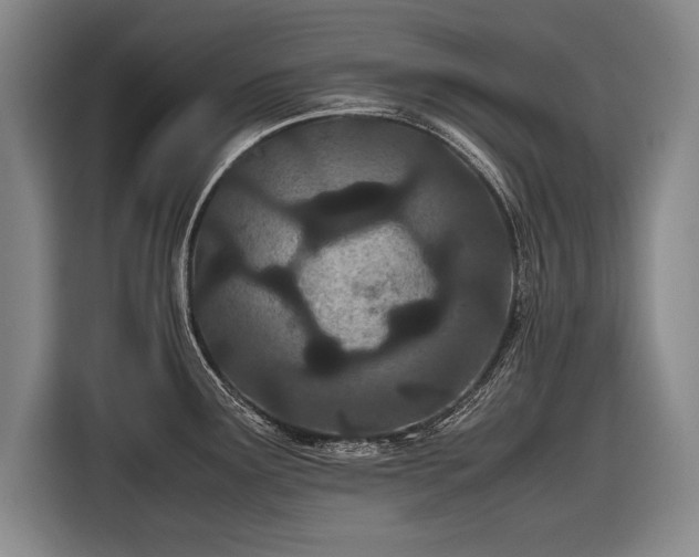 X0000116601291200912181138