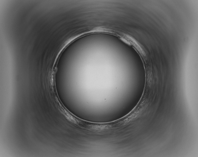 X0000116601292200912181138