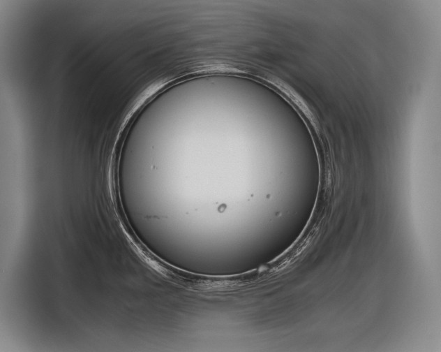 X0000116601293200912181138