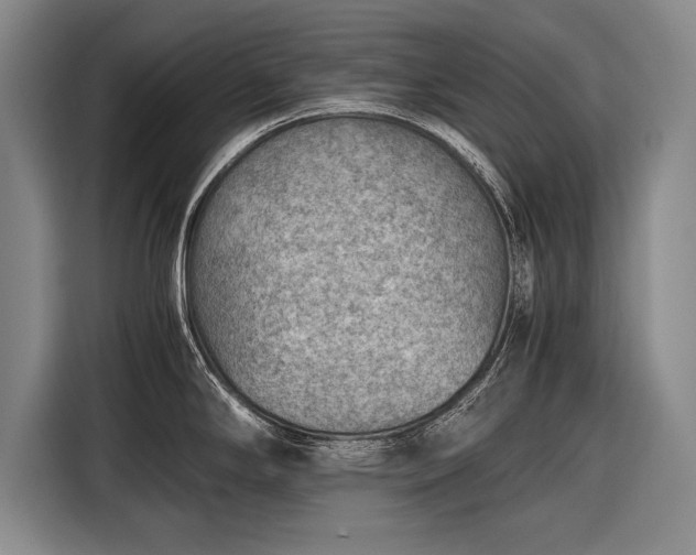 X0000116601294200912181138