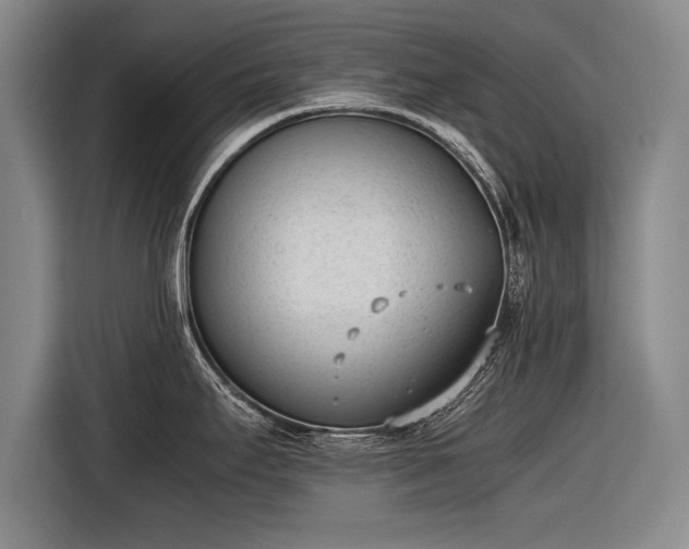 X0000116601295200912181138