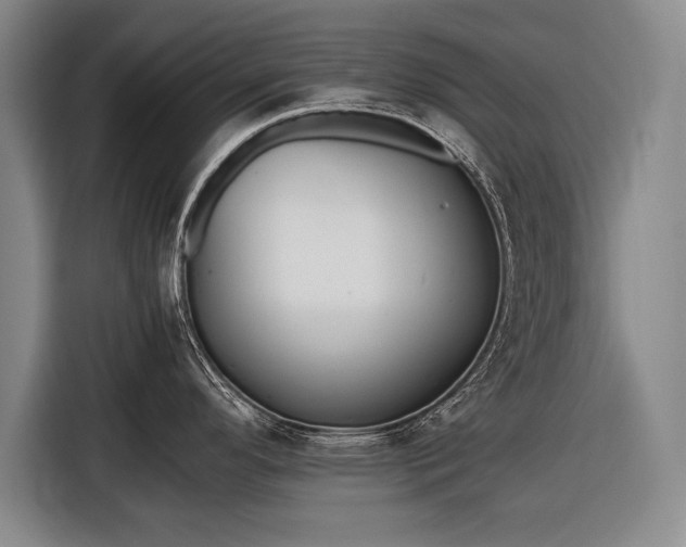 X0000116601296200912181138