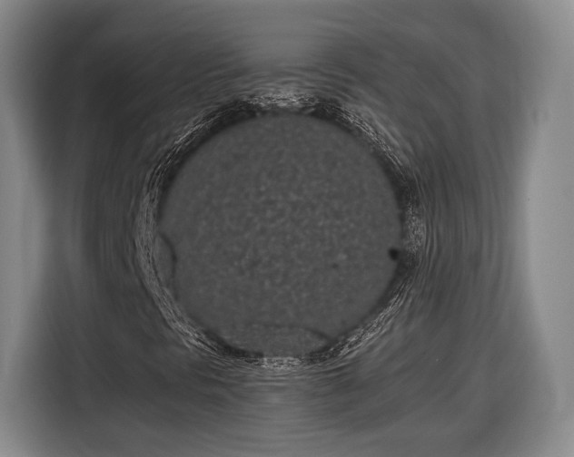 X0000116601297200912181138