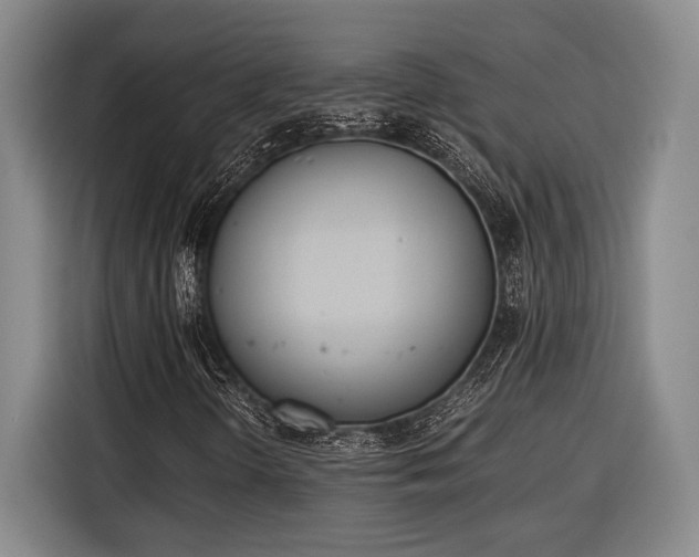 X0000116601298200912181138