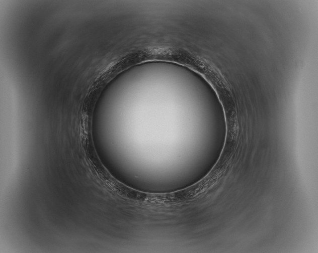 X0000116601301200912181138
