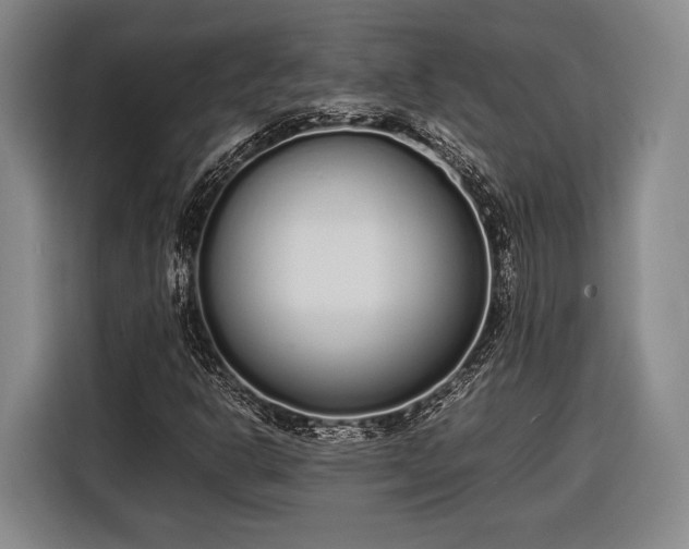 X0000116601302200912181138