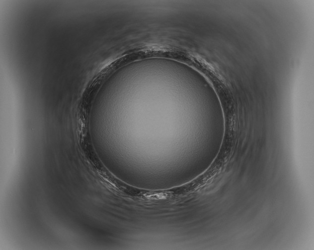 X0000116601303200912181138