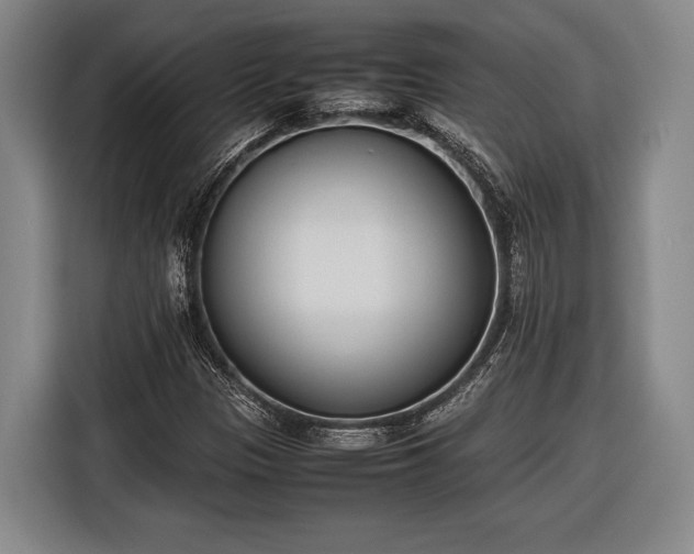 X0000116601305200912181138