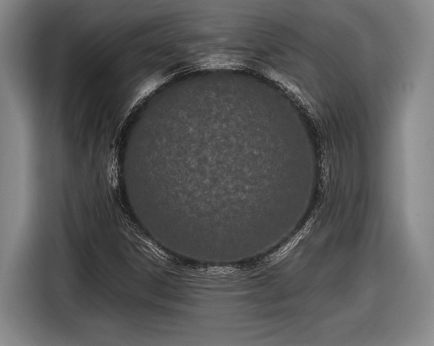 X0000116601306200912181138