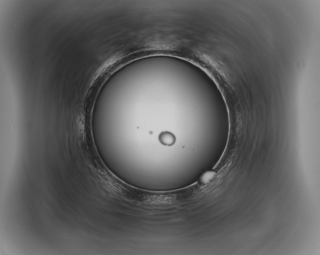 X0000116601307200912181138