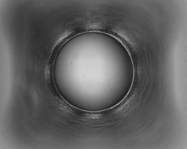 X0000116601309200912181138